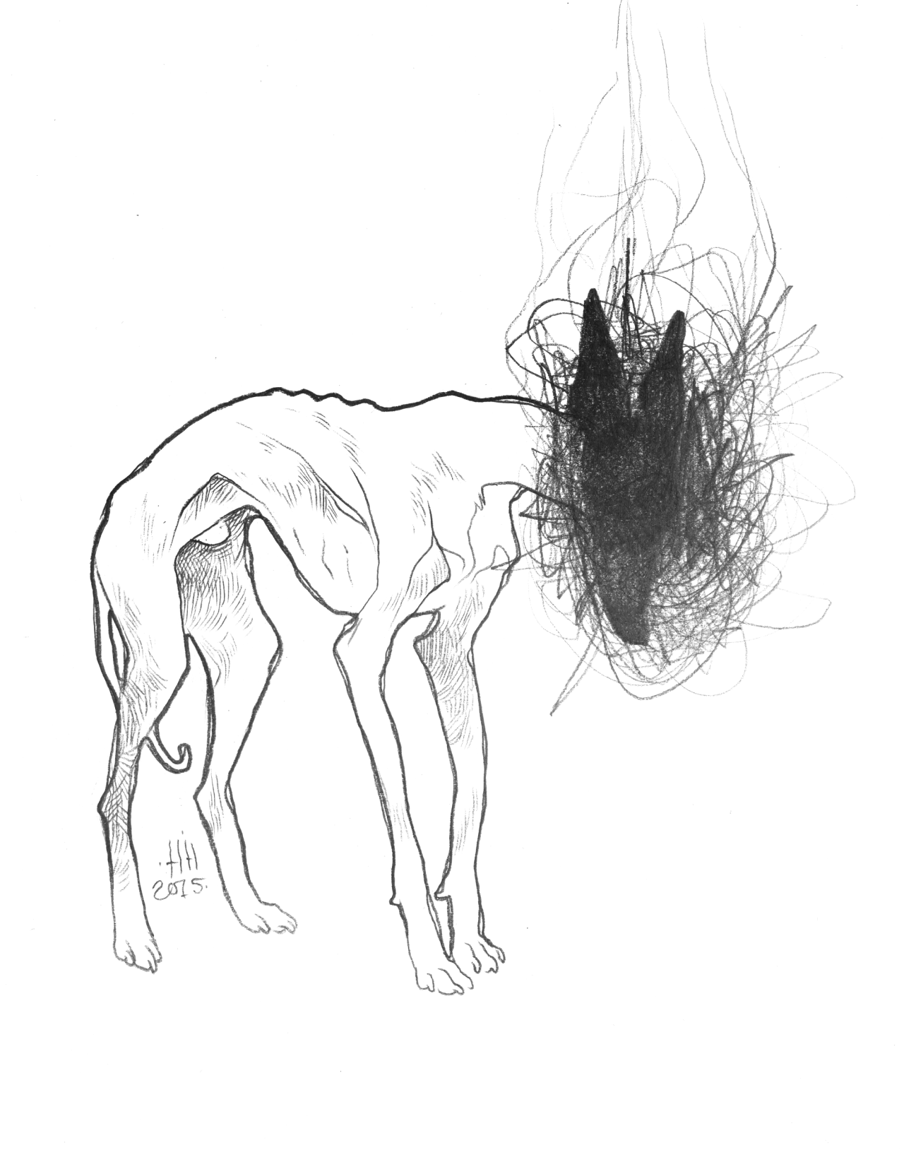 canisalbus:  Manifestations  