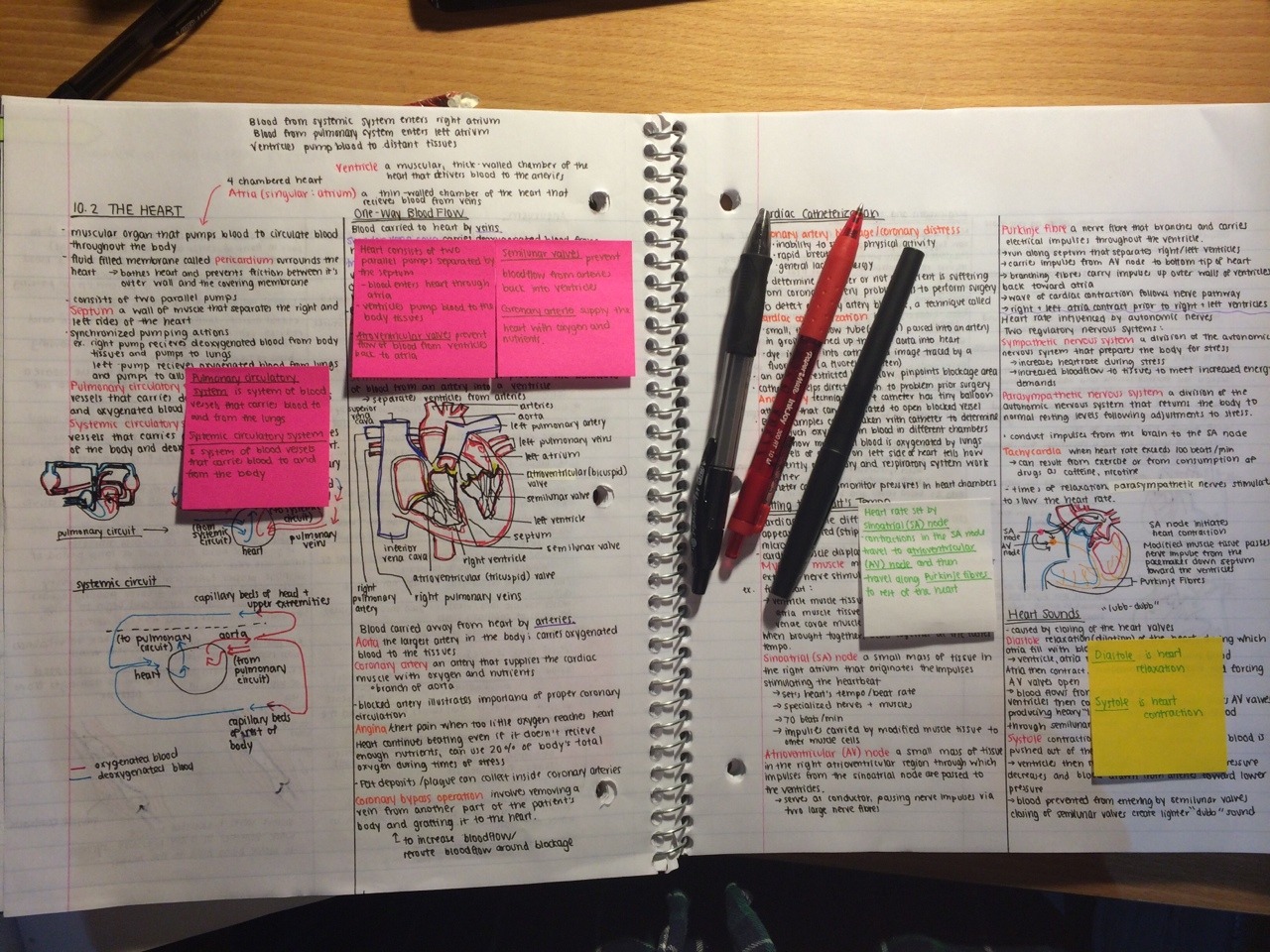 ilikeherbestofall:Nice notes are soothing and motivating.