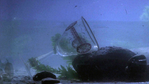 sesiondemadrugada:Days of Heaven (Terrence Malick, 1978).