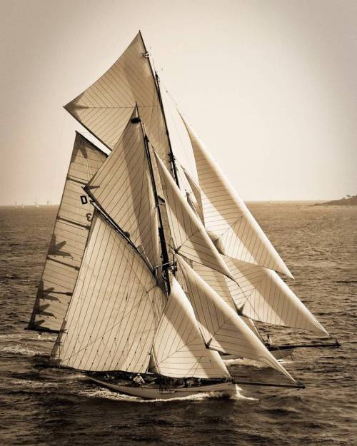 yachtmasters:  Salt Water 😆 by straorza 