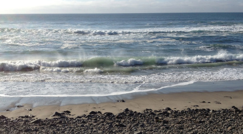 At the Oregon coast. Photos by S.J. Holub