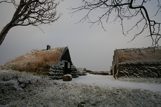 Vikings