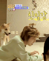 jangdogwoof:  Dongwoo + dogs 