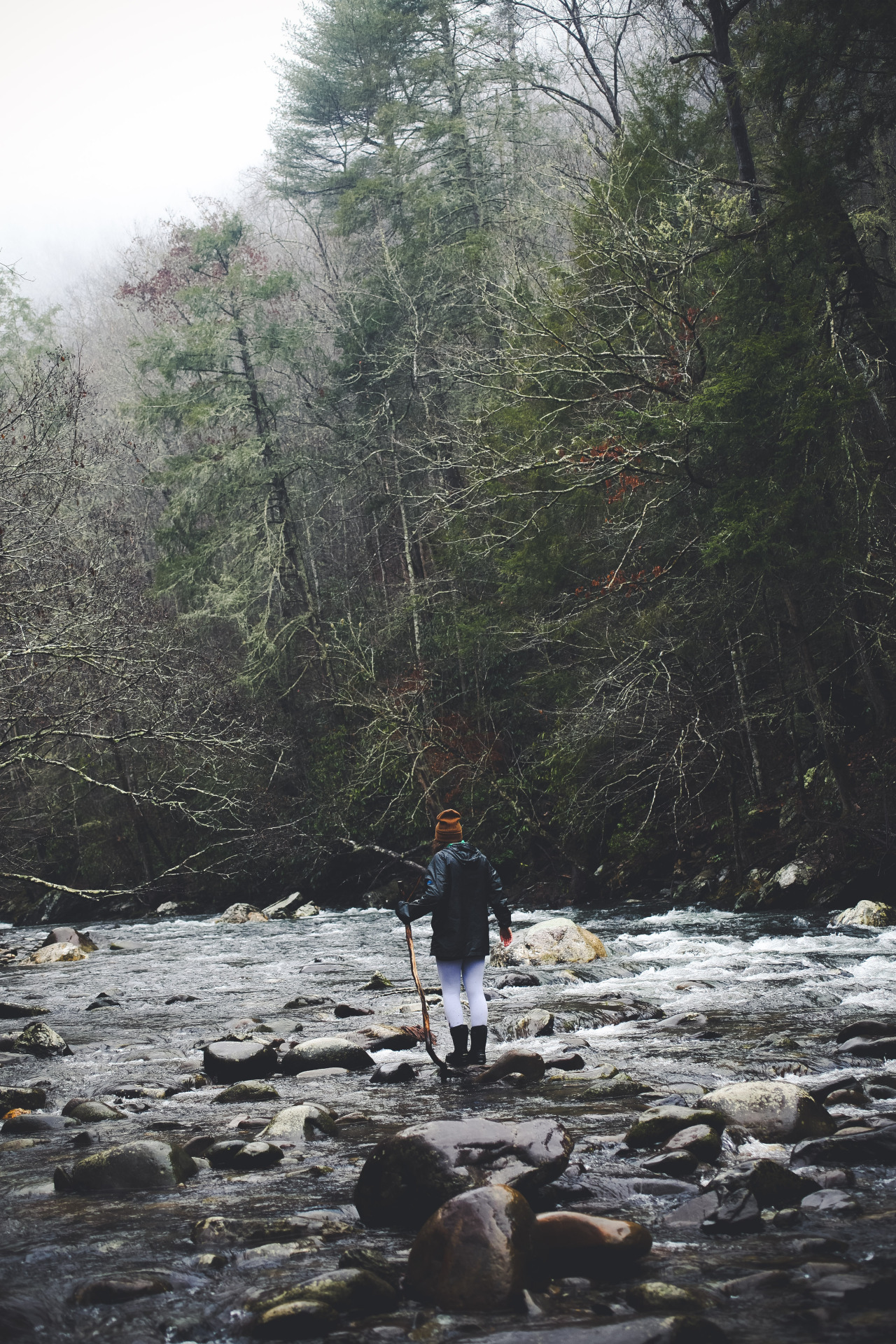 jonahreenders:  Exploring along the River// Smoky Mountain National Park  By: Jonah