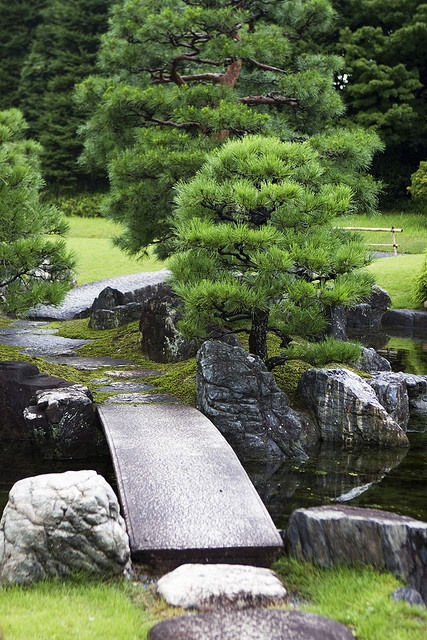 thekimonogallery:   Kyoto Castle Garden, Kyoto, Japan by Ragrant32 