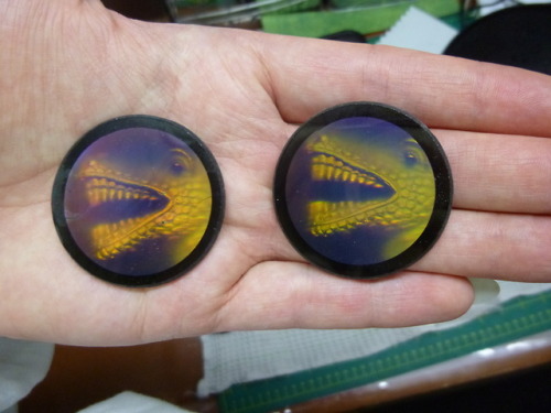 shittydinosaurdrawings: found these lenses while doing a tidy up of my room and I have n o idea wher