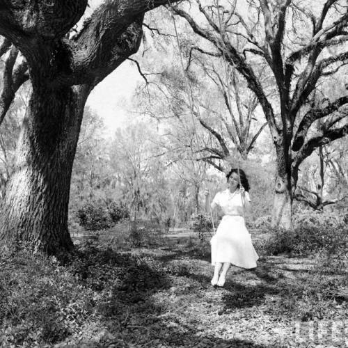 Spring along the Mississippi(Loomis Dean. 1949)