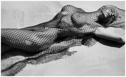 Porn photo nevver:  Fishnets is Fridays 