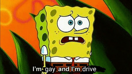 ray-winters-sings:  duzk:  duzk:   All this talk about gays not being able to drive is blatant erasure of those of us who were brave enough to weather the trials of the DMV (Forbes’ selection for Straightest Place on Earth eleven years in a row) so