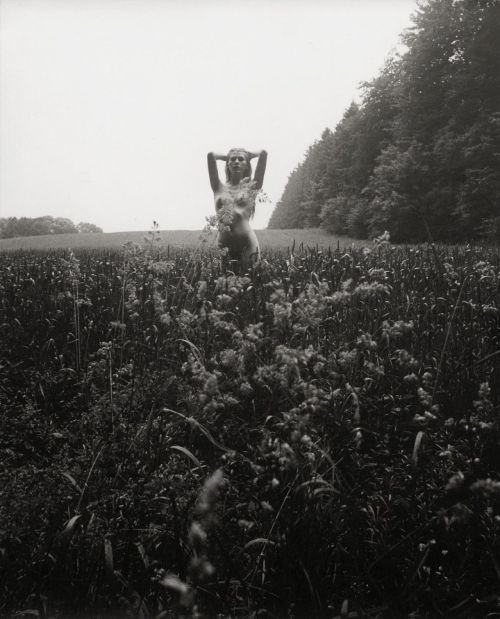 Karin Szekessy.  Female nude in field, ca.1970. 