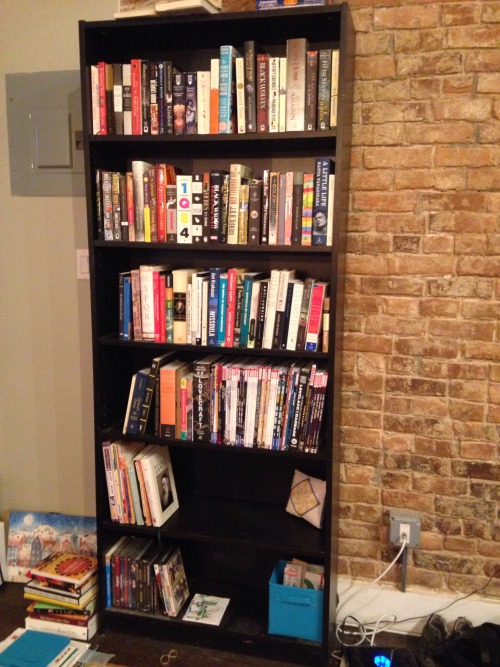 veliseraptor: I made the bookshelf look nice! ACCOMPLISHMENT OF THE WEEKEND