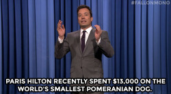 fallontonight:  - Jimmy Fallon’s Monologue;