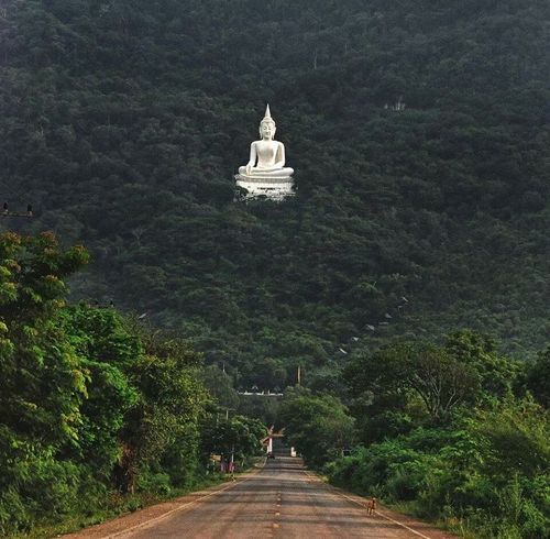 monolithzine:  Buddha statue in forest Pak adult photos