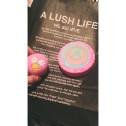 First Time Ever Going To A Lush Store &Amp;Amp; I Completely Fell In Love With Their