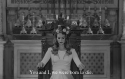 bullet-proof-love-ptv:  born to die // lana