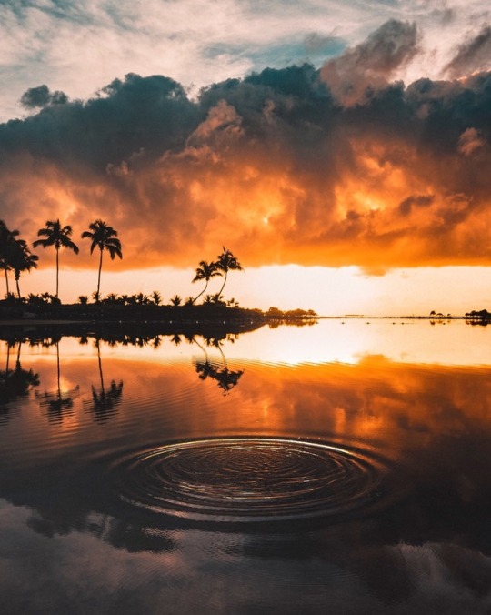 XXX erubes1:  Sunrise on the island of Mauritius photo