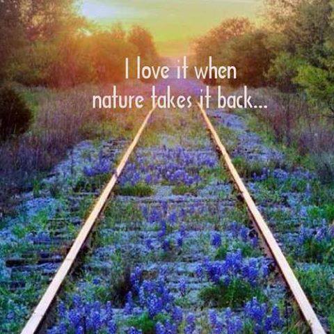 I LOVE IT WHEN NATURE TAKES IT BACK