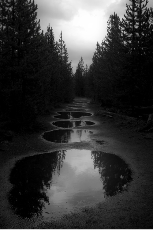 minarachelle:  VARNUAK | via Tumblr op We Heart It