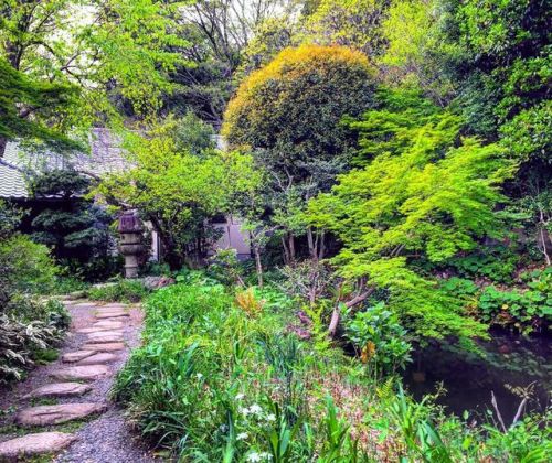 ＼おにわさん更新情報／ ‪[ 東京都文京区 ] 関口芭蕉庵 Sekiguchi Basho-an Garden, Bunkyo-ku, Tokyo の写真・記事を更新しました。 ――椿山荘に隣接。かつ