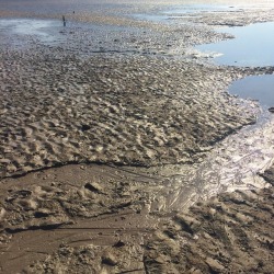 at Berrow Beach