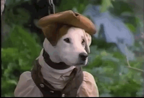 tumblr_nusn5vFwNO1s9b0l1o8_r1_500.gifv