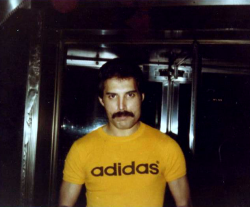 fuckyeahmercury:Candid photos of Queen outside