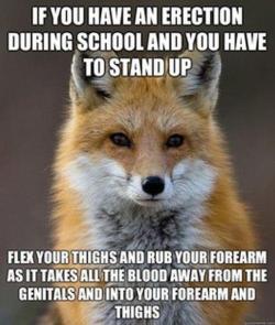 &hellip;. where the fuck were you a decade ago you effing fox&hellip; &gt;_&lt;