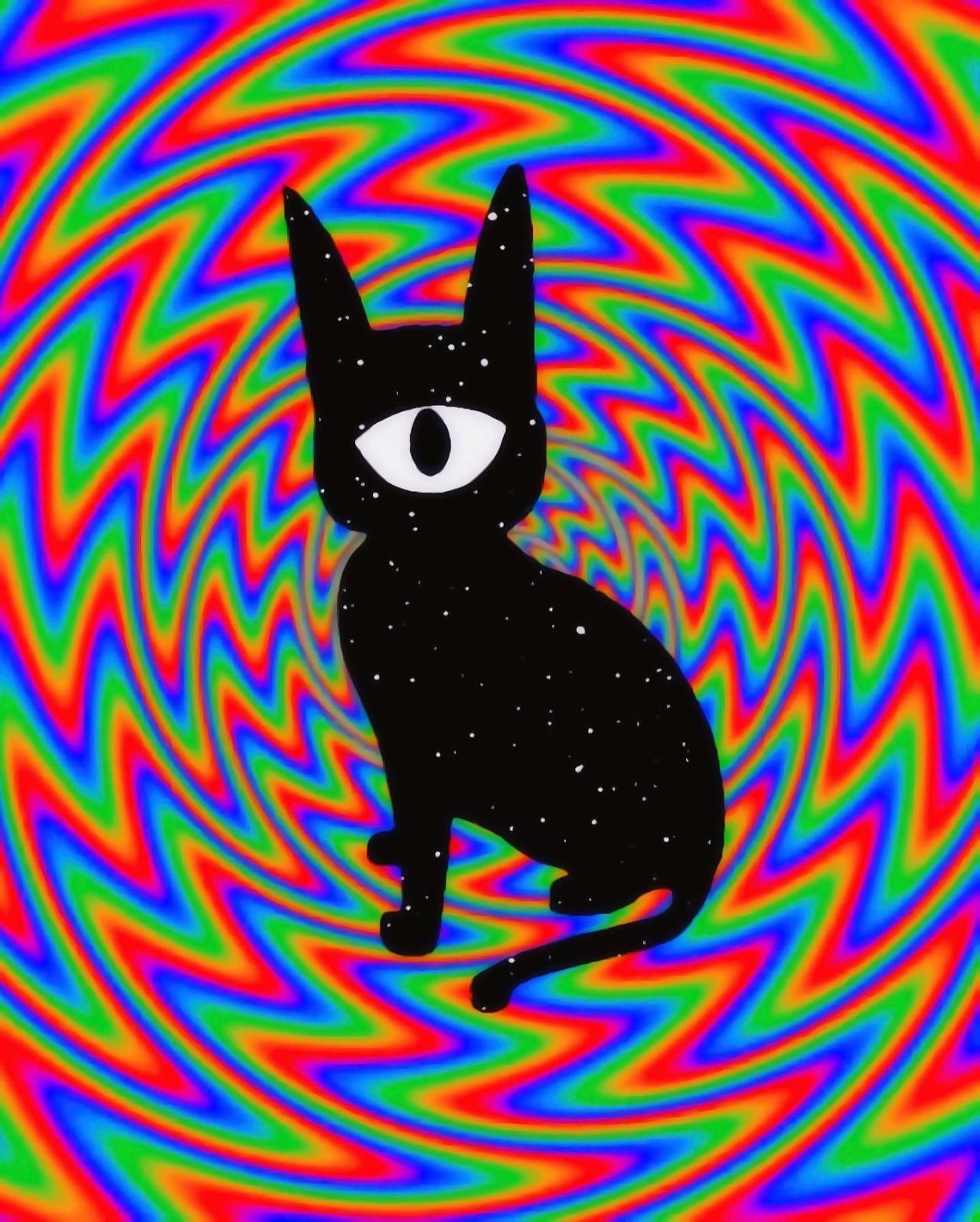 psychedelic cat pictures tumblr