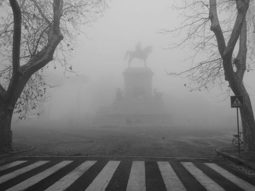 01/01/2022 al Gianicolo con la nebbia #blackandwhite#streetphotography#onthestreet#streethunters#mys