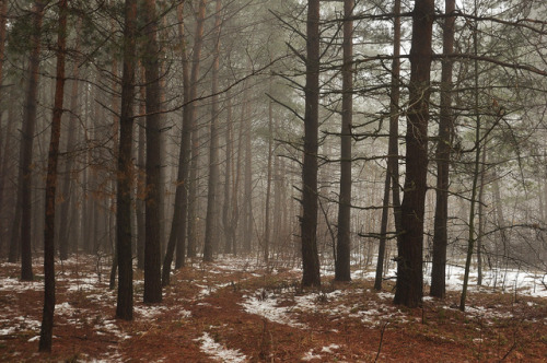 December  Inst: mari_vurdal_photo