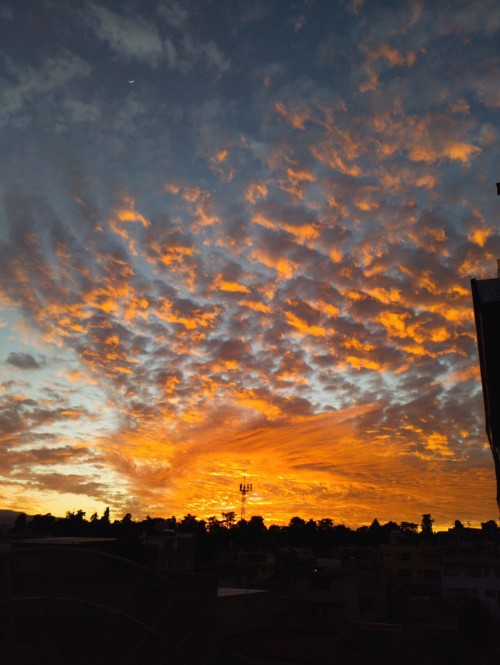 El Arte Del Cielo
