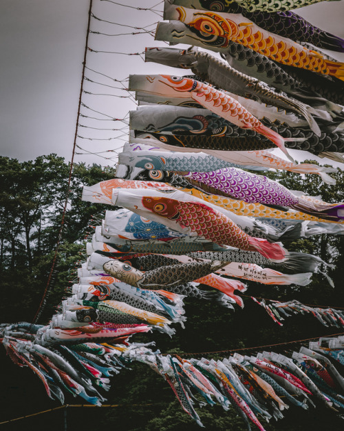 Sagamihara Koinobori Festival, Kanagawa Prefecture You can see over 1,000 Koinobori above the Sagami