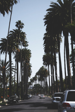 envyavenue:  Beverly Hills | Photographer