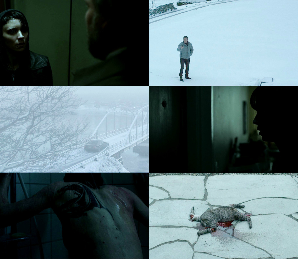 twaititi-deactivated20160901:  The Girl with the Dragon Tattoo 