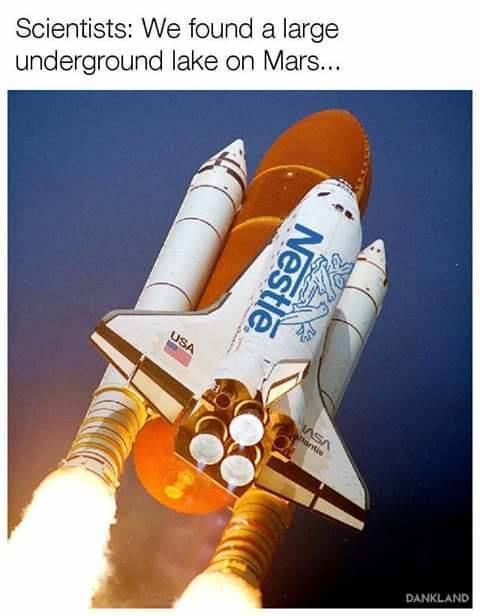 chewedcorn