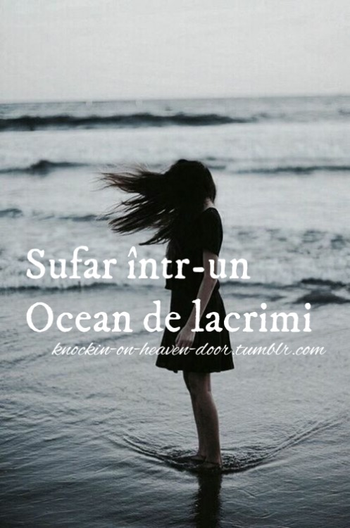http://the-dianastratila-blog.tumblr.com/post/111479911368