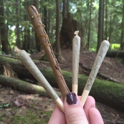 kuush-queen:  kuush-queen:  Such a good girls day with bl0nde-n-baked! I can’t wait to have more this summer.  👌🏻☀️🌲💨💖  women crush Wednesday bl0nde-n-baked