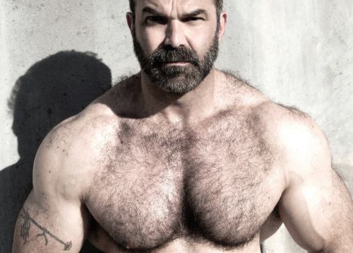 thehairiestmen:  The Hairiest Men - archive of the hairiest men on Tumblr.