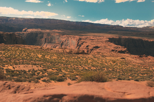 laurelphotography:ArizonaHome to the one of the seven wonders, the Grand Canyon, Arizona has many things about it that make it special.  Although it’s a desert and things may seem dead, there are things about it that are vast and beautiful. From the