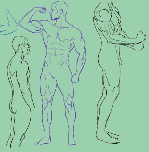 Let’s start the New Year with some anatomy studies!!