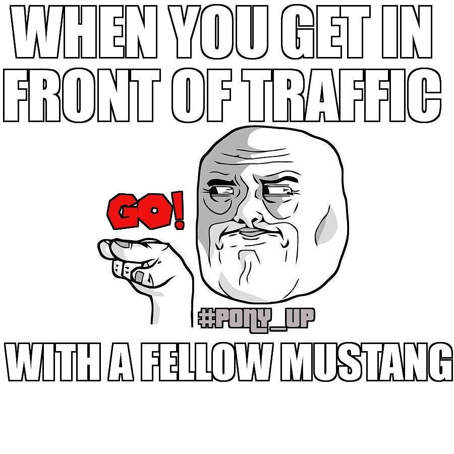 Pony_up