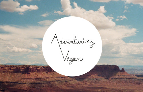 my sister has the sweet new blog. she is developing wonderful vegan camping food which we will be tr