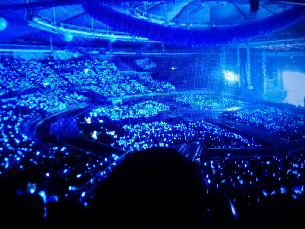 theoneilovesj:  We are ELF.We taken by Super Junior,every second…every minute…every