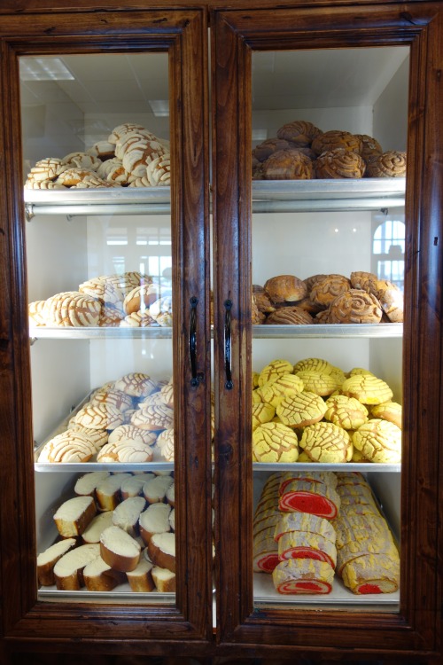 bokkitokki:  Mexican pastries! @El Bolillo Bakery - Houston, Texas  