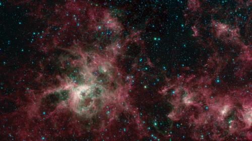 Spitzer’s View of the Tarantula Nebula : This image from NASA’s Spitzer Space Telescope 