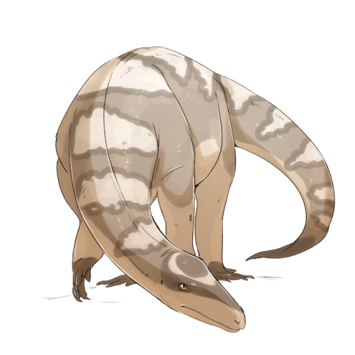 trackalaka:  Not-dinovember continues! Day 11-20 Whoaaaa Inostrancevia - Tanystropheus - Shastasauru
