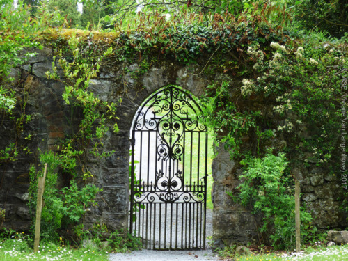 topvise:Gate to the formal gardens, Birr castle, Co. Offaly, Ireland.