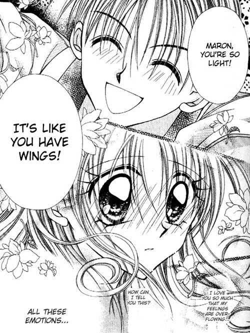 otakuyume: Kamikaze Kaitou Jeanne  Maron X Chiaki