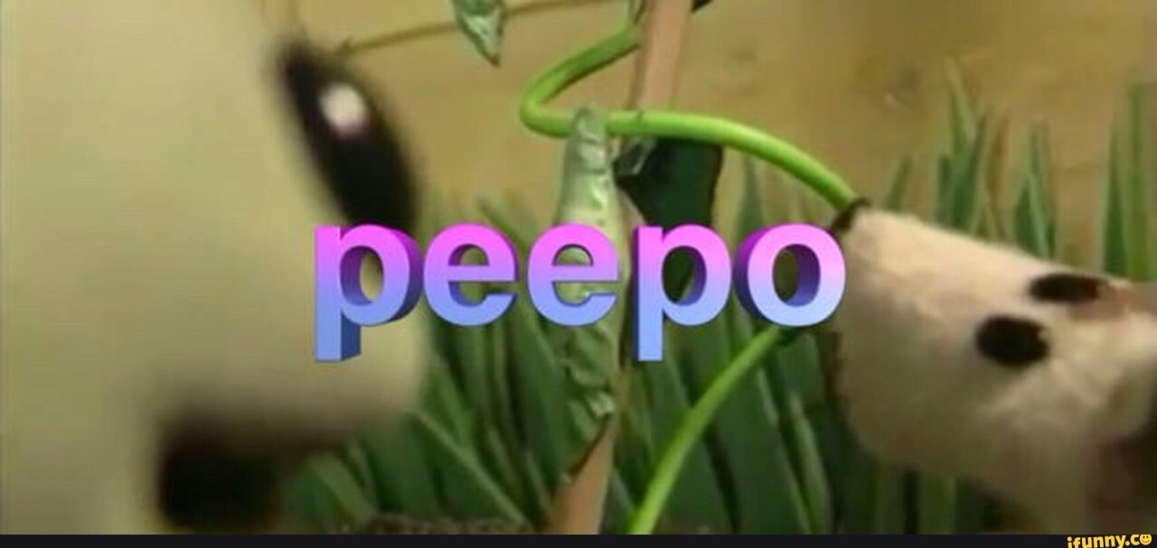 ericfeeble:  pearlygoat:  Fuck  @ccandygarnet 