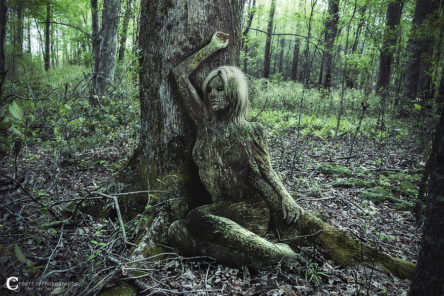 superbnature:  Tree Nymph by creartsy 